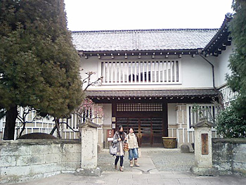 20110208.jpg