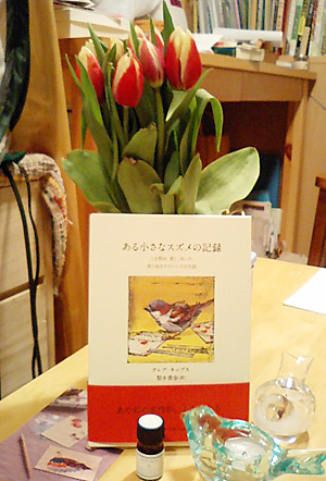 20110321.jpg