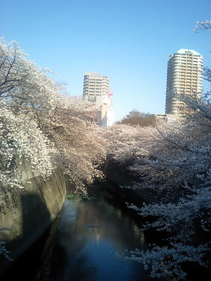 20110405.jpg
