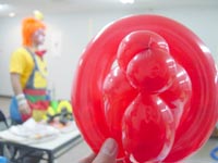 コトラ先生とインコ