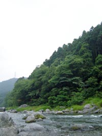 多摩川