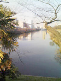 飯田橋付近のお堀