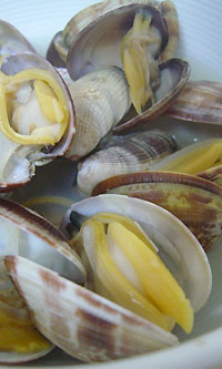 あさりの酒蒸し