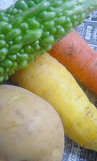 沖縄の実家でとれた野菜たち