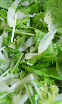 レタスと水菜のサラダ