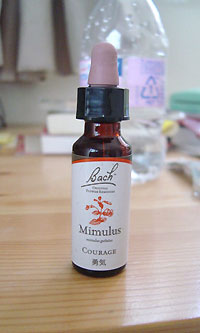 バッチフラワーレメディー ミムラス