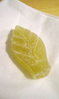 ハーブ＆フルーツミント