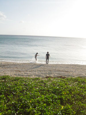 ベストショット