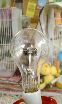 つかない電球