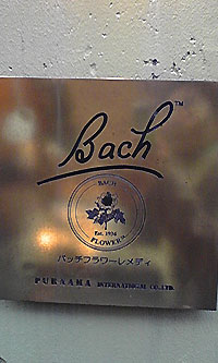 バッチフラワーレメディー