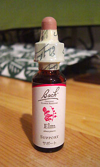 フラワーレメディーのエルム