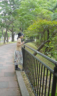 何かを探すコトリちゃん