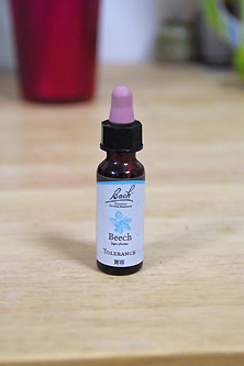 フラワーレメディーのビーチ