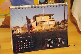 卓上カレンダー2011