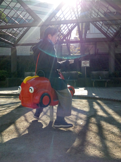 公園にさし込む日光