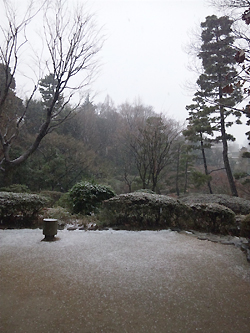 雪の降る庭園