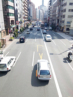 歩道橋からの散歩道