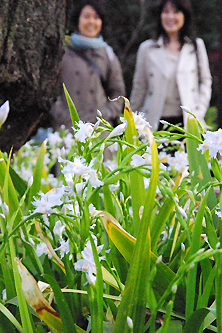 お花と笑顔の女性