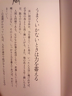うまくいかないときは力を蓄える