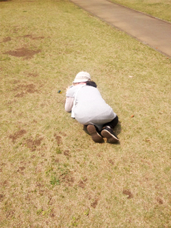 写真を撮るコトリちゃん