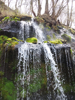 吐竜の滝