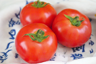 無農薬トマト