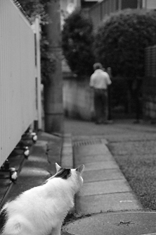 白ちゃんと旦那